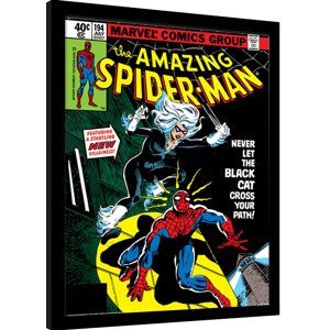Obraz na zeď - Spider-Man - Black Cat