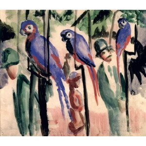 August Macke - Obrazová reprodukce Blue Parrots, (40 x 35 cm)
