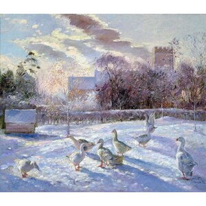 Timothy Easton - Obrazová reprodukce Winter Geese in Church Meadow, (40 x 35 cm)