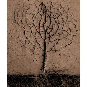 Umělecká fotografie Asphalt Tree, Rasto Gallo, (35 x 40 cm)