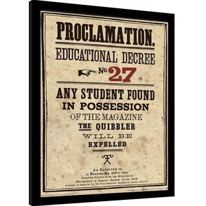 Obraz na zeď - Harry Potter - Educational Decree No. 27