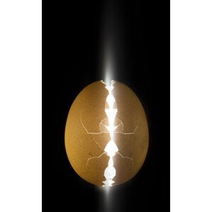 Umělecká fotografie Alien egg, Wieteke de Kogel, (24.6 x 40 cm)