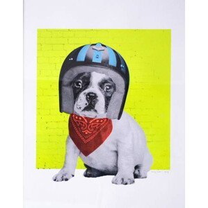 Storno, Anne - Obrazová reprodukce Easy Rider, 2016,, (30 x 40 cm)