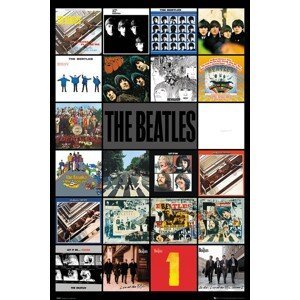 Plakát, Obraz - The Beatles - Albums, (61 x 91.5 cm)