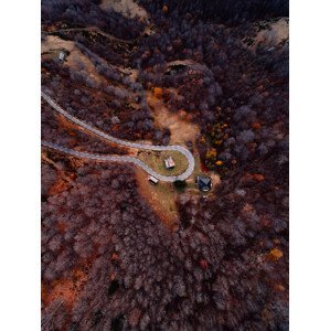 Umělecká fotografie Mountain road between autumn trees, Javier Pardina, (30 x 40 cm)