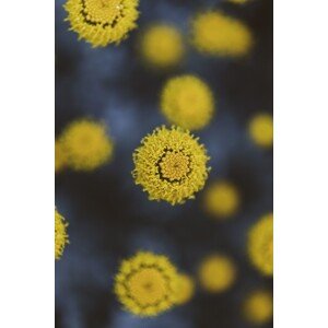 Umělecká fotografie Texture of yellow flowers, Javier Pardina, (26.7 x 40 cm)