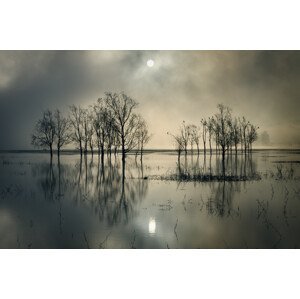 Umělecká fotografie Lake's Secret, joanne_flj, (40 x 26.7 cm)