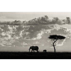 Umělecká fotografie Silhouettes of Mara, Mario Moreno, (40 x 26.7 cm)
