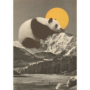 Bodart, Florent - Obrazová reprodukce Panda's Nap into Mountains, (30 x 40 cm)