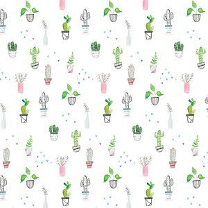 Ilustrace Houseplants and cacti, Laura Irwin, (40 x 40 cm)