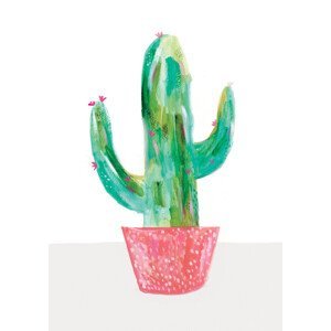 Ilustrace Painted cactus in coral plant pot, Laura Irwin, (30 x 40 cm)