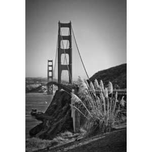 Umělecká fotografie San Francisco Golden Gate Bridge, Melanie Viola, (26.7 x 40 cm)