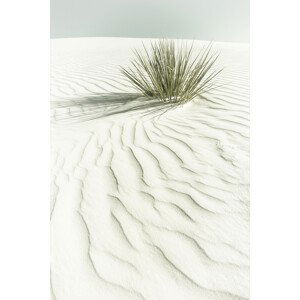 Umělecká fotografie WHITE SANDS Vintage scenery, Melanie Viola, (26.7 x 40 cm)