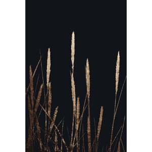 Ilustrace Golden Fields In The Dark, Kubistika, (26.7 x 40 cm)