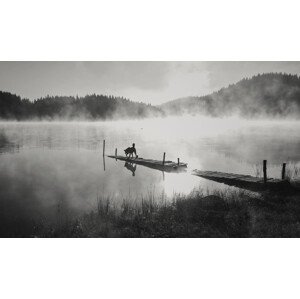 Umělecká fotografie In the fog, Zlatina Peeva, (40 x 24.6 cm)