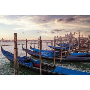 Umělecká fotografie VENICE Gondolas & Santa Maria della Salute, Melanie Viola, (40 x 26.7 cm)