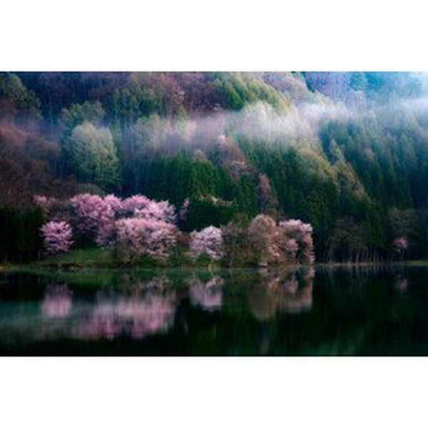 Umělecká fotografie In The Morning Mist, Takeshi Mitamura, (40 x 26.7 cm)