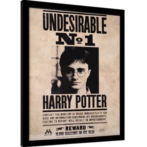 Obraz na zeď - Harry Potter - Undesirable N.1