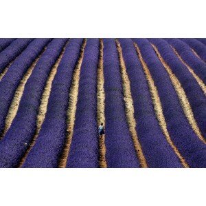 Umělecká fotografie Small steps between a world of blue lines, Claudio Moretti, (40 x 24.6 cm)