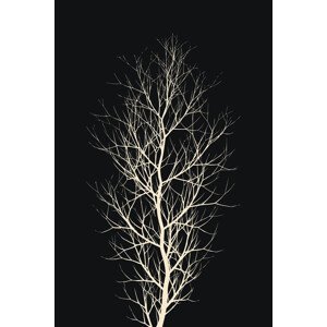 Ilustrace The Tree WHITE, Kubistika, (26.7 x 40 cm)