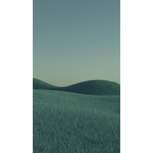 Umělecká fotografie Minimal landscpases of a green grass at with a gradient sky series  1, Javier Pardina, (22.5 x 40 cm)