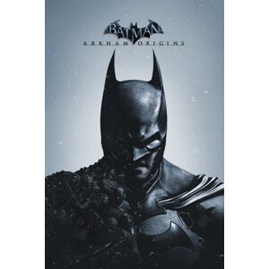 Umělecký tisk Batman - Arkham Origins, (26.7 x 40 cm)