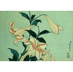 Hokusai, Katsushika - Obrazová reprodukce Trumpet Lilies, (40 x 26.7 cm)
