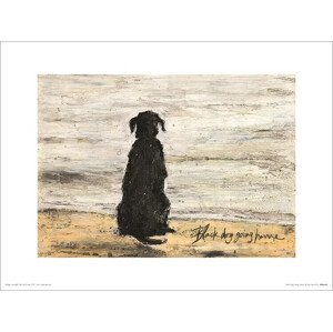 Umělecký tisk Sam Toft - Black Dog Going Home, (40 x 30 cm)