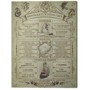 Obraz na plátně Harry Potter - Hogwarts School List, (60 x 80 cm)