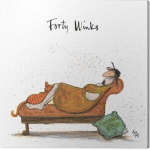 Obraz na plátně Sam Toft - Forty Winks, (30 x 30 cm)