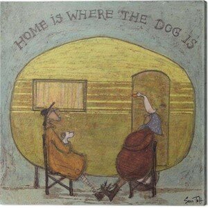 Obraz na plátně Sam Toft - Home is Where the Dog is, (40 x 40 cm)