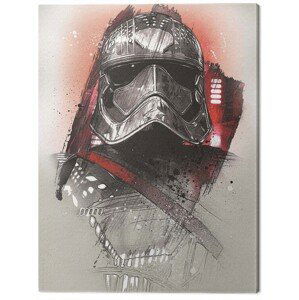 Obraz na plátně Star Wars The Last Jedi - Captain Phasma Brushstroke, (60 x 80 cm)