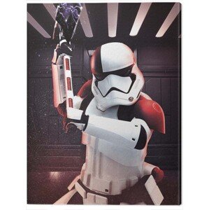 Obraz na plátně Star Wars The Last Jedi - Executioner Trooper, (60 x 80 cm)