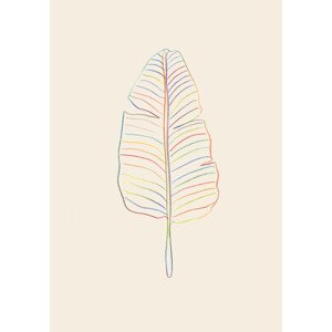 Ilustrace Banana Rainbow Leaf, Studio Collection, (26.7 x 40 cm)