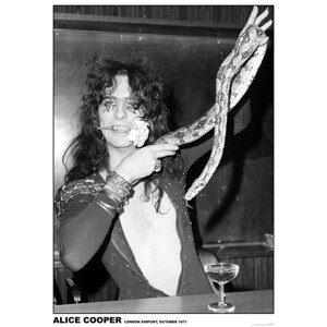 Plakát, Obraz - Alice Cooper, (59.4 x 84.1 cm)