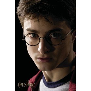 Umělecký tisk Harry Potter - Portrait, (26.7 x 40 cm)