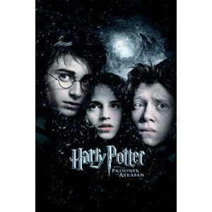 Umělecký tisk Harry Potter a vězeň z Azkabanu, (26.7 x 40 cm)