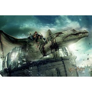 Umělecký tisk Harry Potter - Dragon ironbelly, (40 x 26.7 cm)