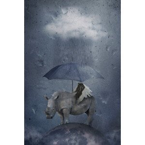 Umělecká fotografie under the rain, Muriel Vekemans, (26.7 x 40 cm)
