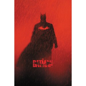 Umělecký tisk The Batman 2022, (26.7 x 40 cm)