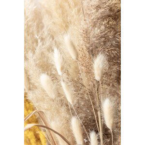 Umělecká fotografie Dried Bouquet, Studio Collection, (26.7 x 40 cm)