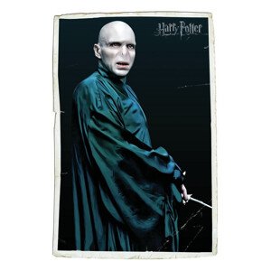 Umělecký tisk Voldemort, (26.7 x 40 cm)