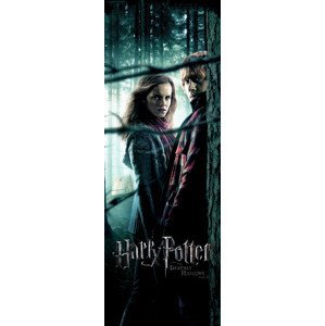Umělecký tisk Harry Potter - Relikvie smrti, (64 x 180 cm)