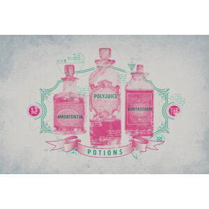 Umělecký tisk Harry Potter - Potions, (40 x 26.7 cm)