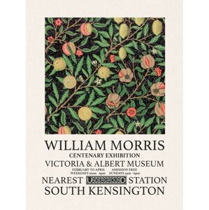 Obrazová reprodukce Dark Fruits (Special Edition) - William Morris, (30 x 40 cm)