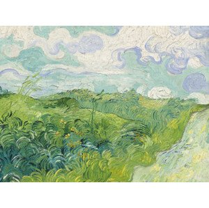 Obrazová reprodukce Green Wheat Fields - Vincent van Gogh, (40 x 30 cm)