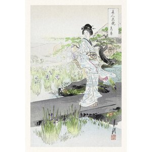 Obrazová reprodukce Iris Garden (Vintage Japandi) - Ogata Gekko, (26.7 x 40 cm)