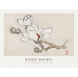 Obrazová reprodukce Magnolia Blossom (Special Edition Japandi) - Kōno Bairei, (40 x 30 cm)