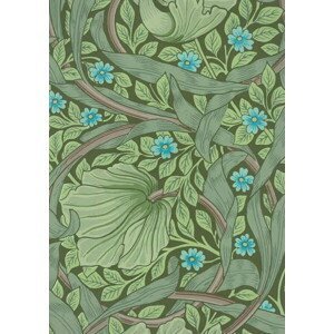 Morris, William - Obrazová reprodukce Wallpaper Sample with Forget-Me-Nots, c.1870, (30 x 40 cm)