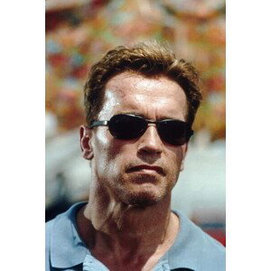 Umělecká fotografie Arnold Schwarzenegger, Collateral Damage 2001, (26.7 x 40 cm)